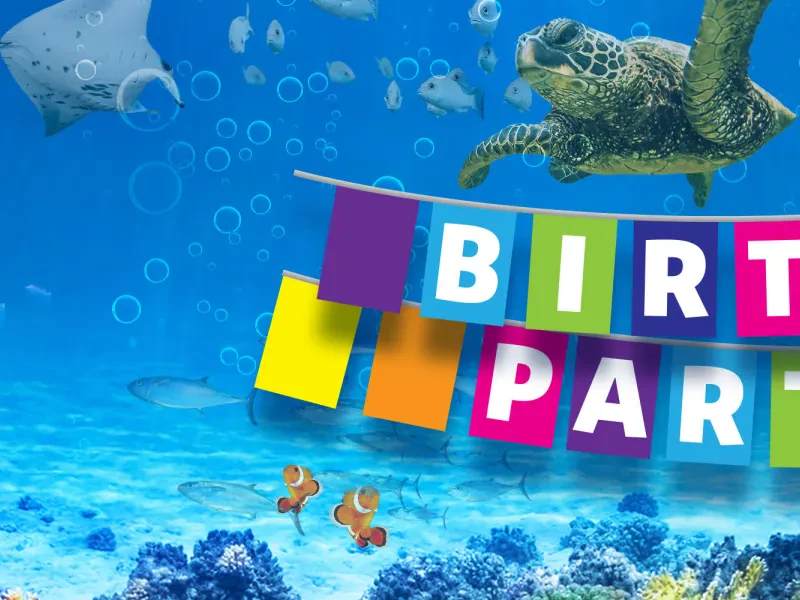 SEA LIFE Brighton Birthday Parties — Kids Party Venue in Brighton