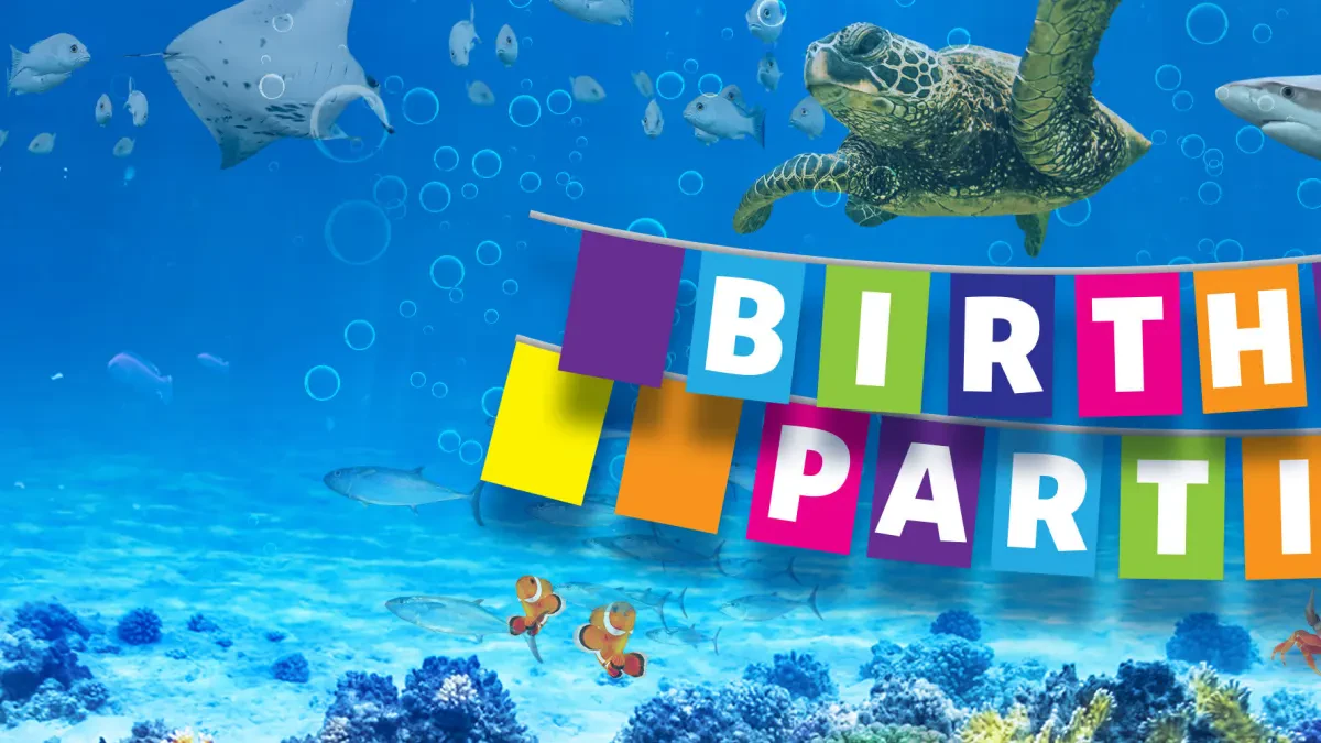 SEA LIFE Brighton Birthday Parties — Kids Party Venue in Brighton