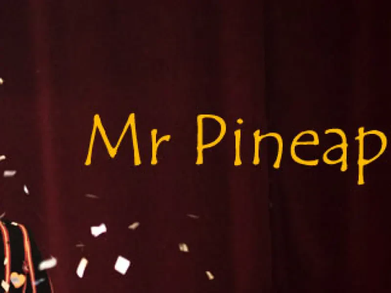 Mr Pineapplehead Clown Lewes — Children's Entertainer in Lewes