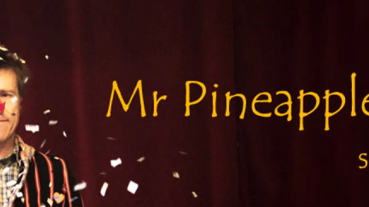 Mr Pineapplehead Clown Lewes — Children's Entertainer in Lewes