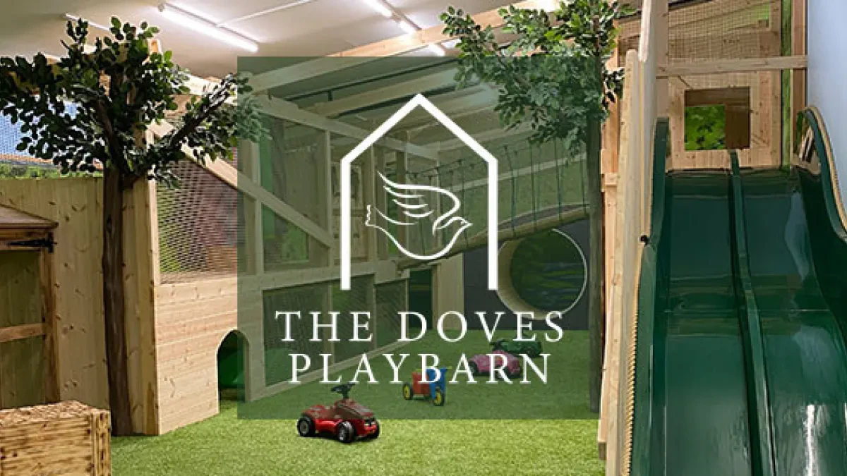 The Doves Play Barn Lewes — Soft Play Party in Lewes